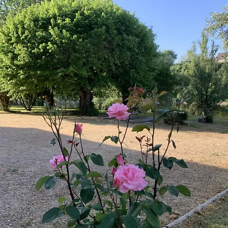 Le Clos Des Rives * Saint-Vincent-de-Cosse